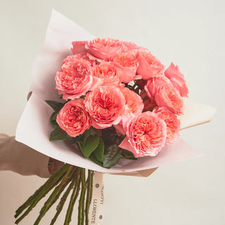 Rosas de Jardín - Candy X-pression