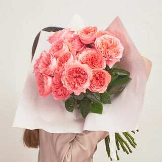 Rosas de Jardín - Candy X-pression
