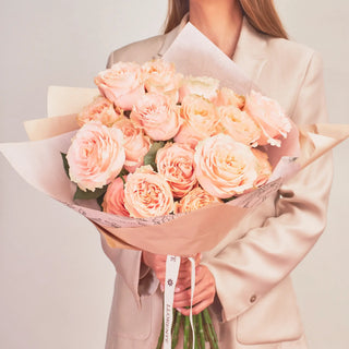Rosas de Jardín - Princess Crown