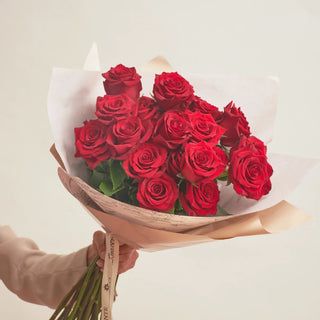 Rosas Clásicas - Explorer