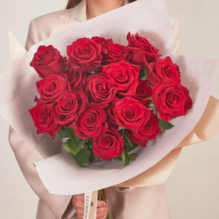 Rosas Clásicas - Explorer