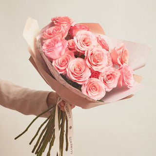 Rosas Clásicas- Saga