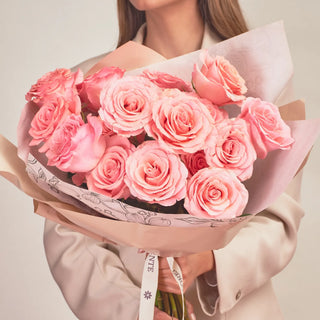 Rosas Clásicas- Saga