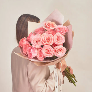 Rosas Clásicas- Saga